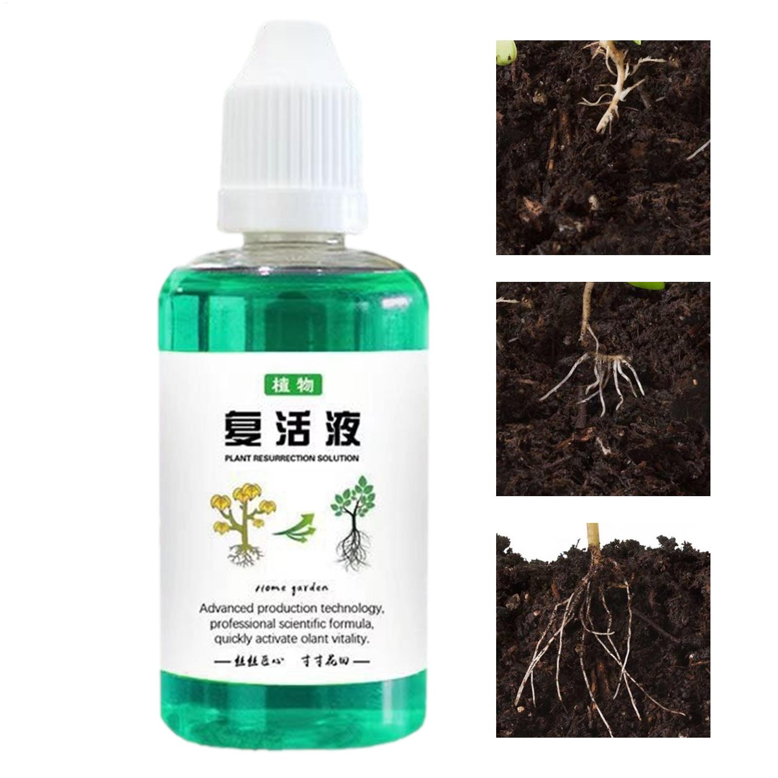 Root Stimulator Liquid - 50ml Kök Stimülatörü Bitki Canlandırıcı Sıvı