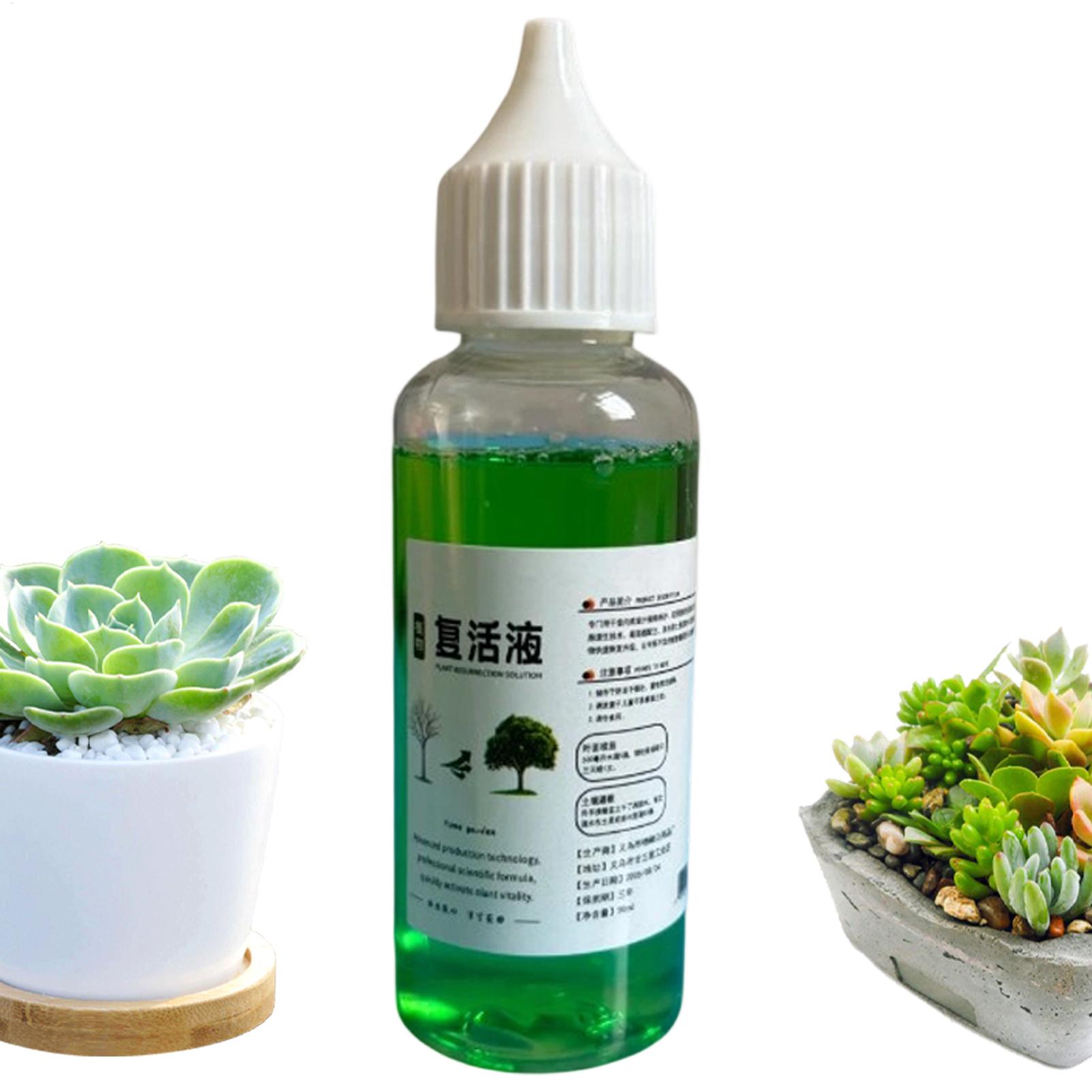 Root Stimulator Liquid - Bitkiler için Kök Geliştirici Sıvı Köklenme