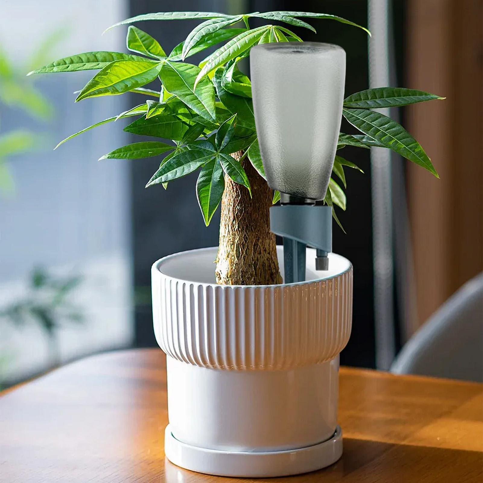 6 adet Otomatik Sulama Cihazı  - Self Watering Insert incelemesi ve fiyatı
