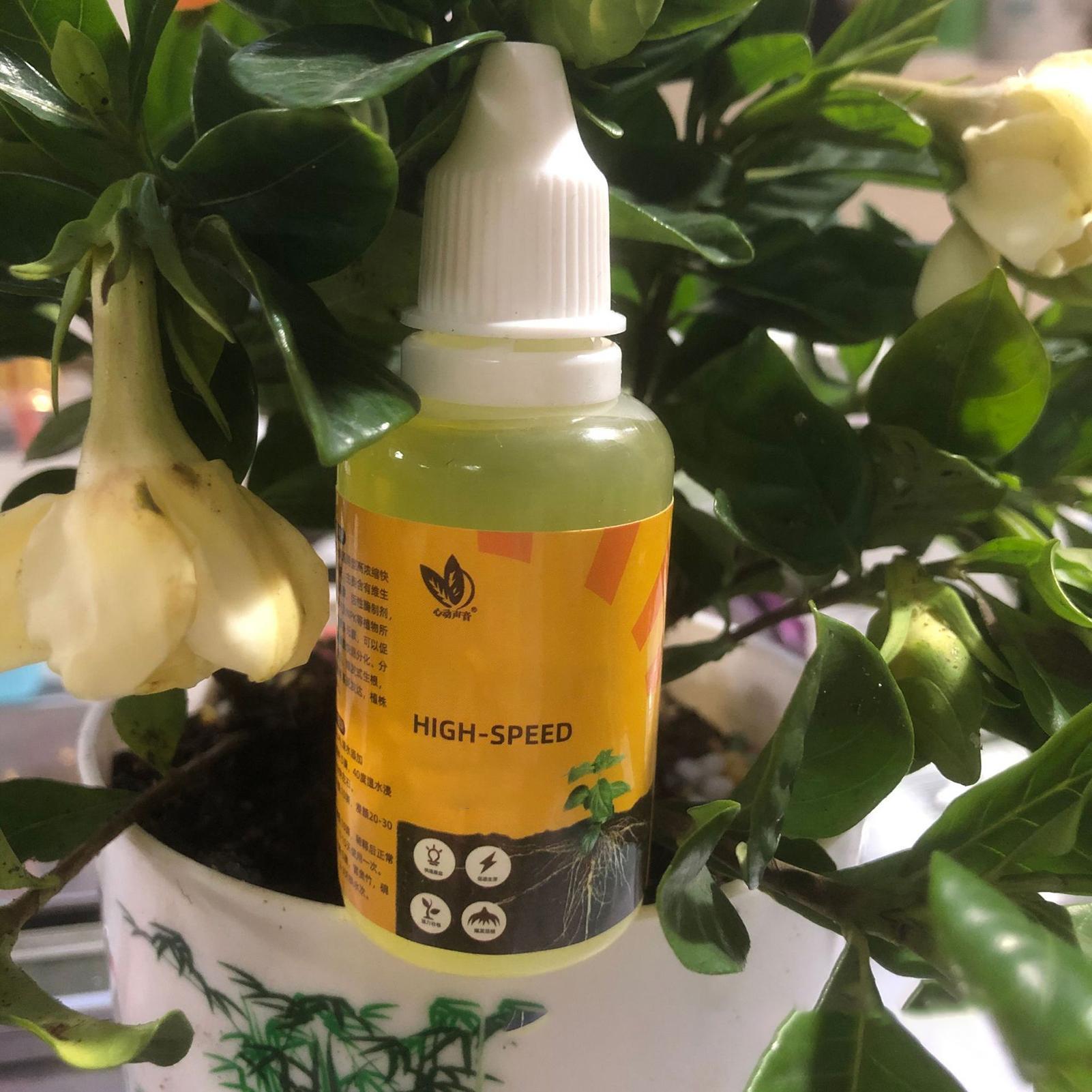 50ml Bitki Köklendirme Stimüla - Root Stimulator Liquid incelemesi ve fiyatı