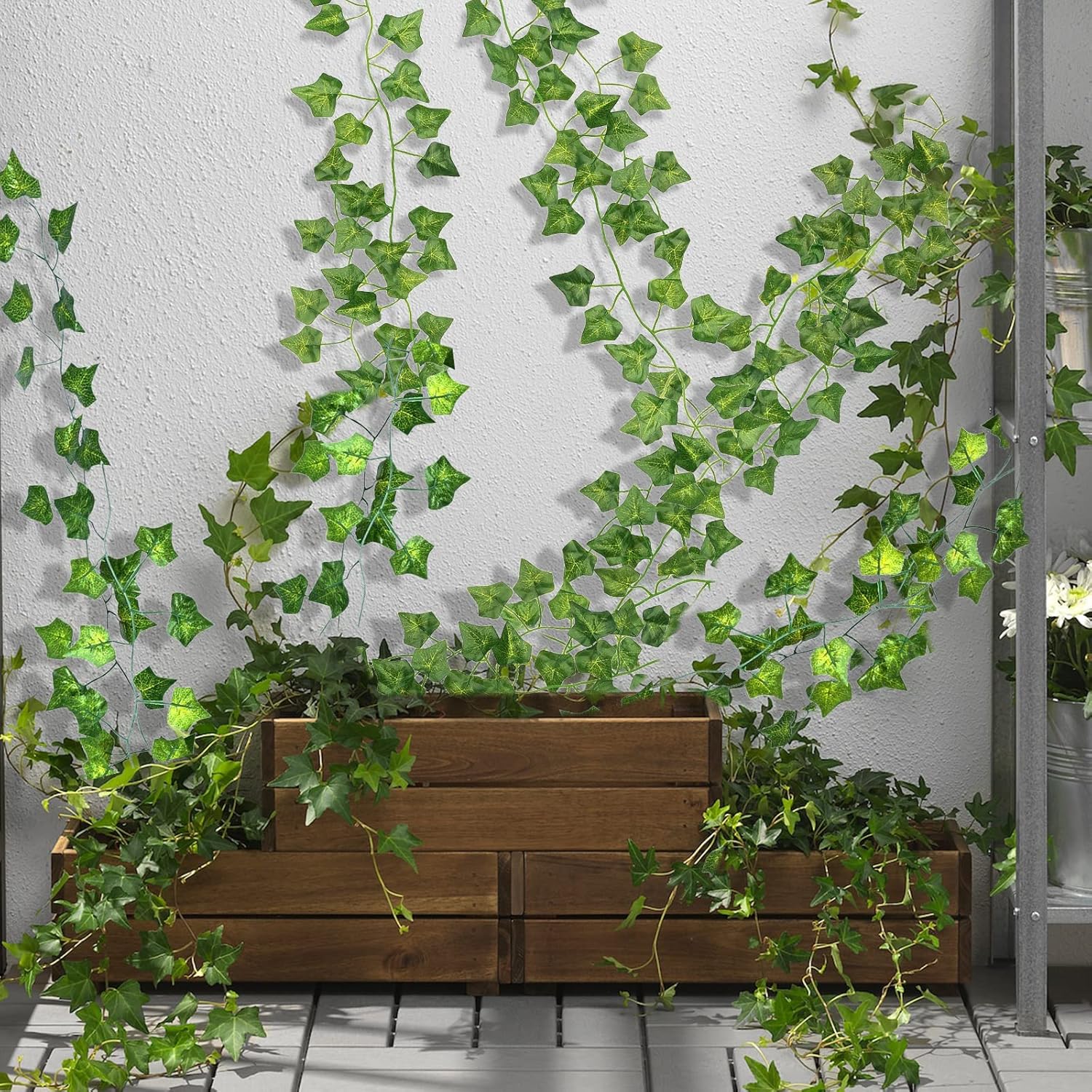 Sarmaşık Yaprakları Yeşillik Ç - Sphagnum Moss Dry incelemesi ve fiyatı